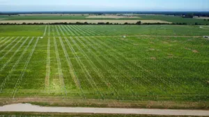 Największa farma fotowoltaiczna Energi powstaje na Dolnym Śląsku