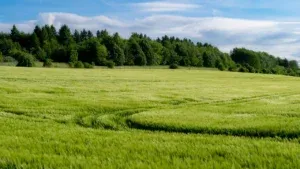 Nowe osiedla powstaną na miejskich gruntach rolnych