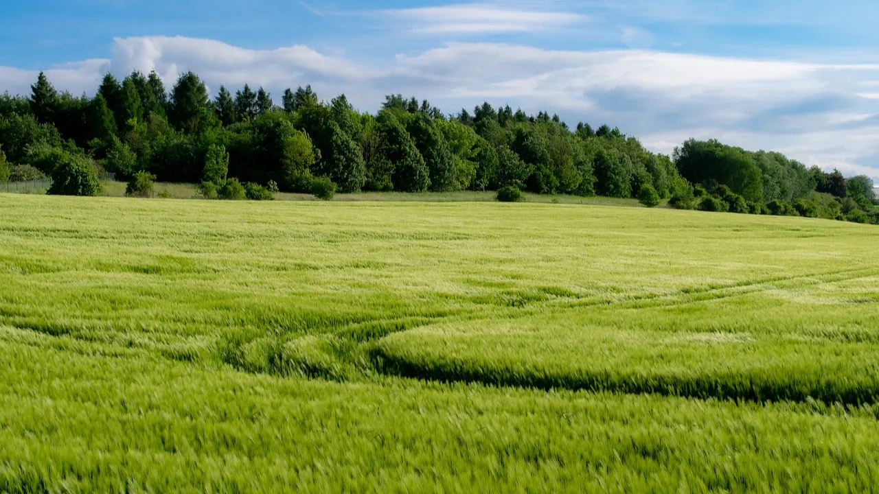 Nowe osiedla powstaną na miejskich gruntach rolnych