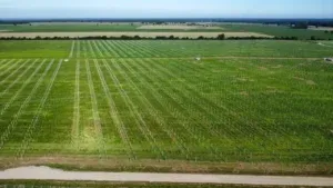 Największa farma fotowoltaiczna Energi powstaje na Dolnym Śląsku